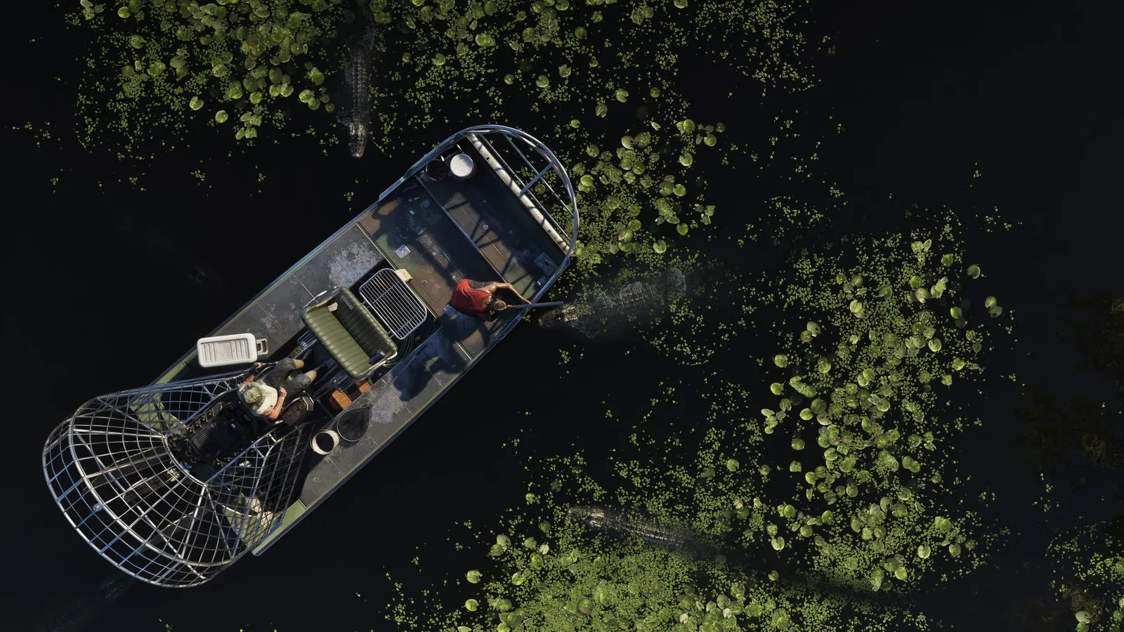 An airboat cuts through green swamp water in Grassrivers, seen from directly above